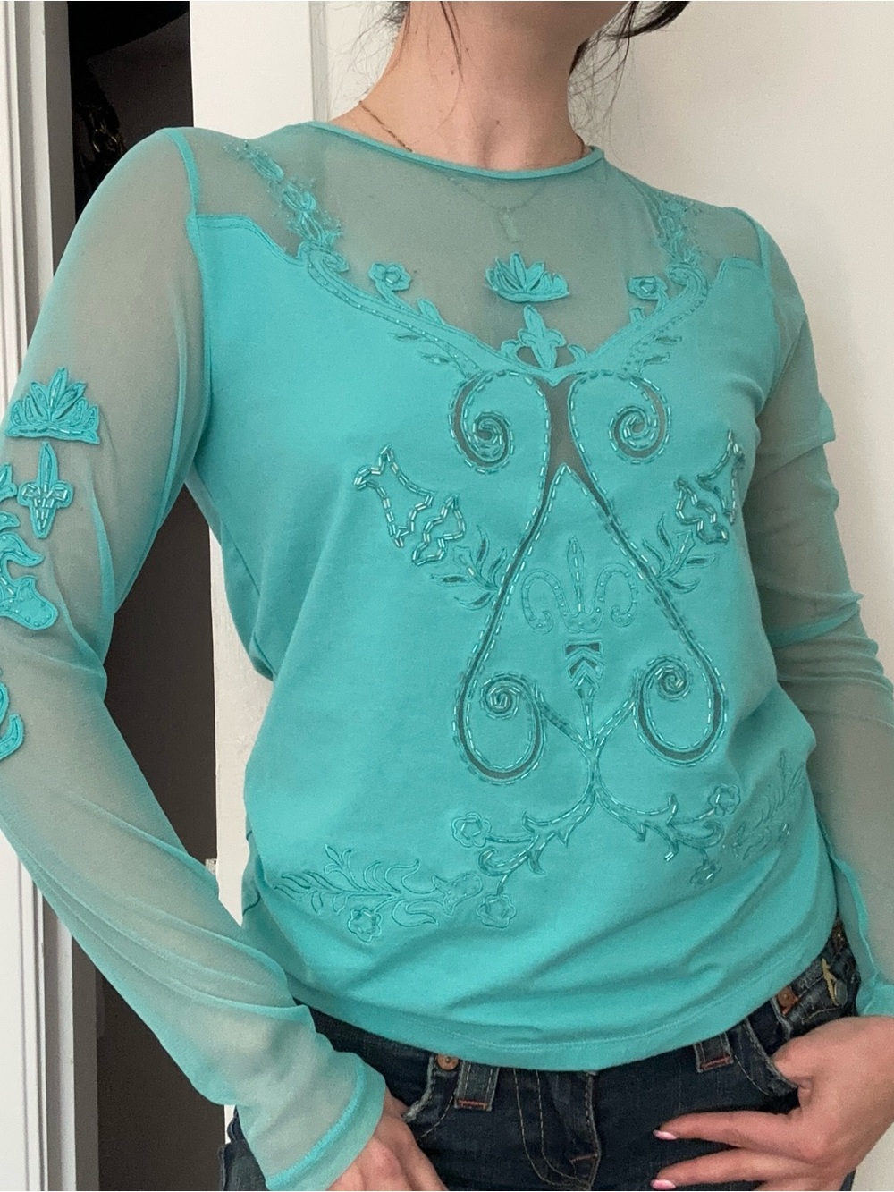 Bianca Nygard Embroidered Sheer-Panel Long Sleeve Top — Teal